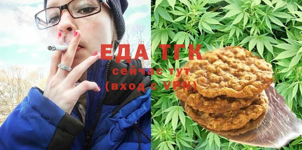 дурь Гусев