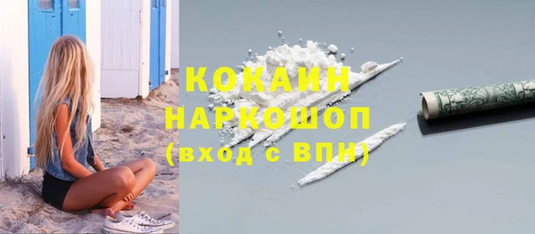 дурь Дмитриев