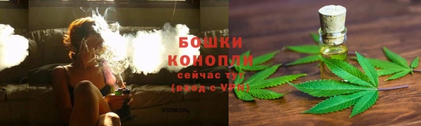 дурь Дмитриев