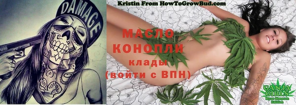 прущие крисы Гусь-Хрустальный